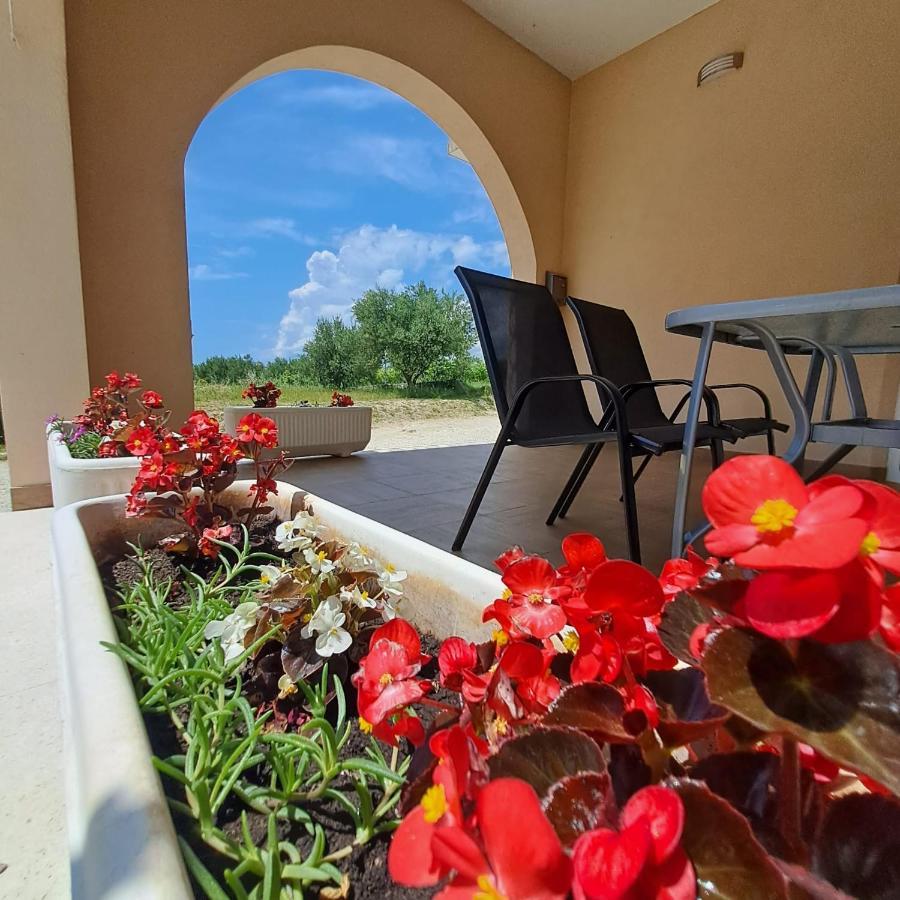 Apartman Darija 2 Podstrana Esterno foto